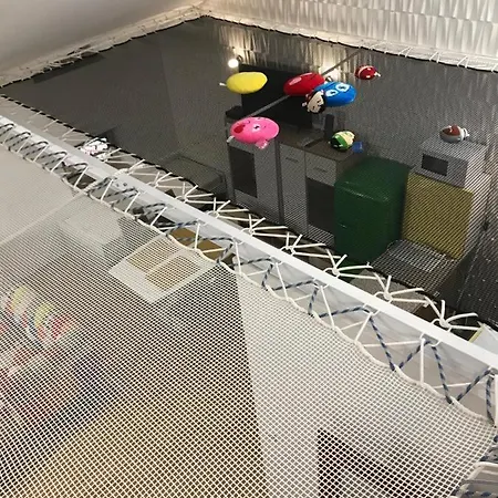 Bojci App Trgovacka Ulica 3 Apartament *